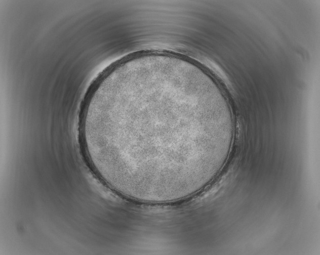 X0000112381020200909031948