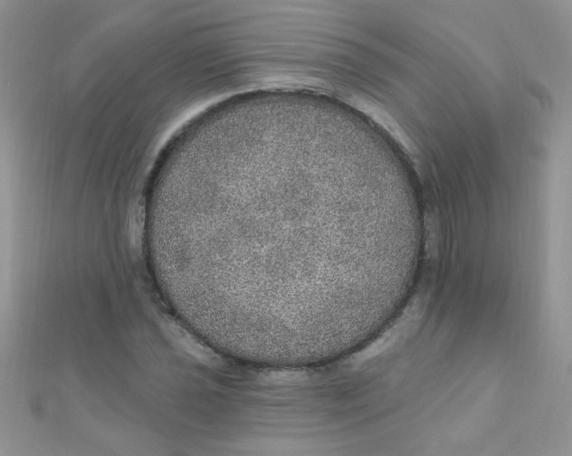 X0000112381021200909031948