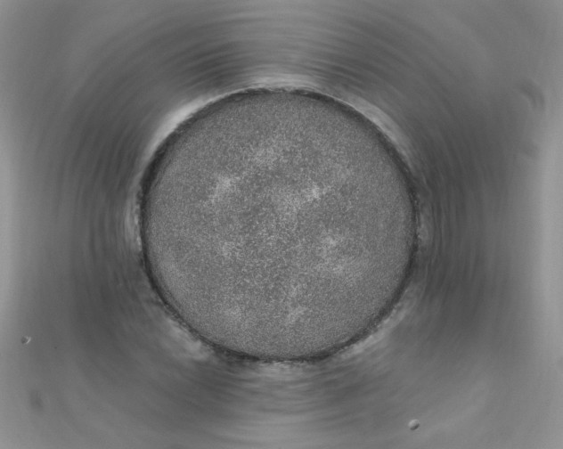 X0000112381022200909031948