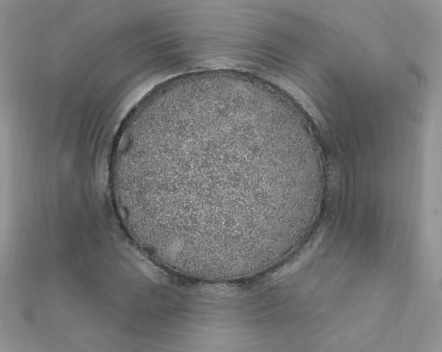 X0000112381023200909031948