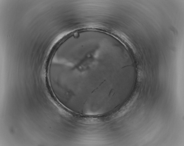 X0000112381024200909031948