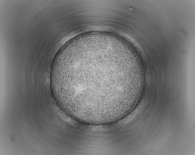 X0000112381025200909031948