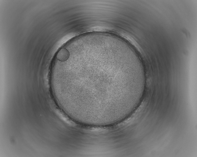 X0000112381026200909031948