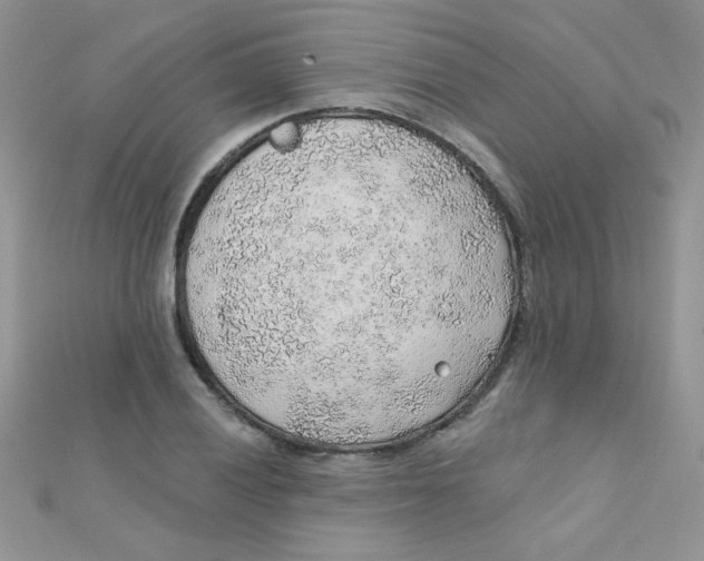 X0000112381028200909031948