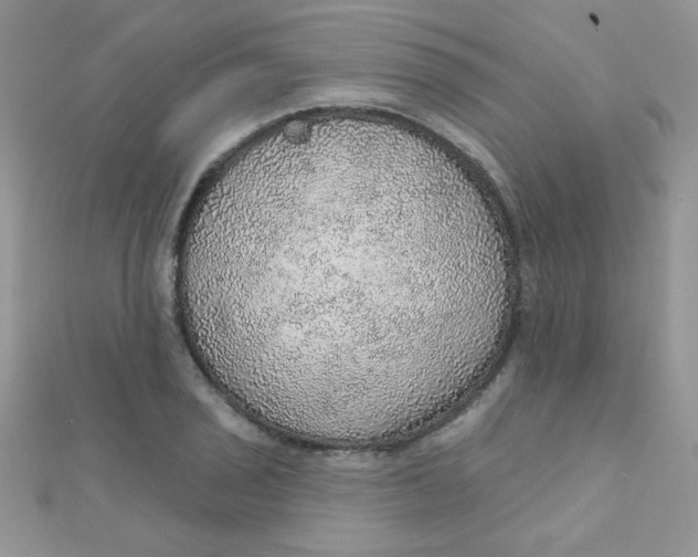 X0000112381029200909031948