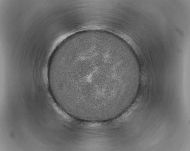 X0000112381030200909031948