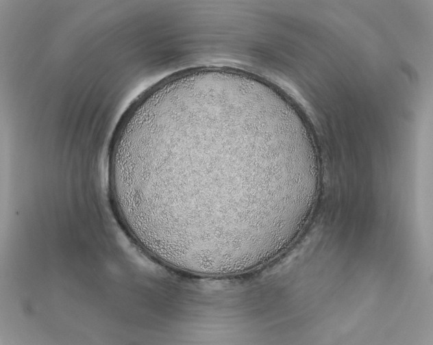 X0000112381032200909031948