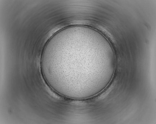 X0000112381033200909031948