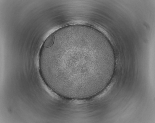 X0000112381034200909031948