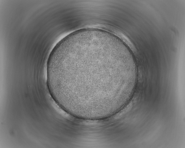 X0000112381036200909031948