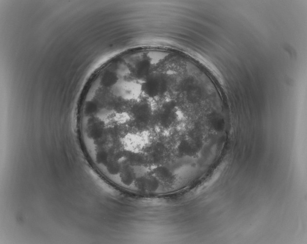 X0000112381037200909031948