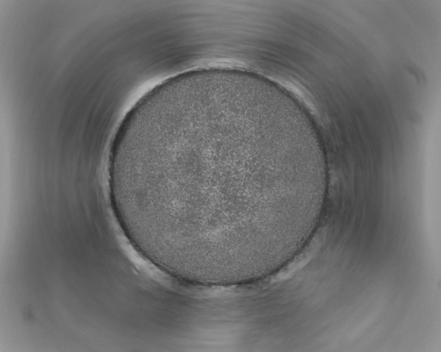 X0000112381038200909031948