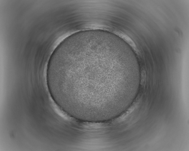 X0000112381039200909031948