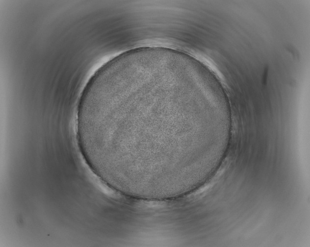 X0000112381040200909031948