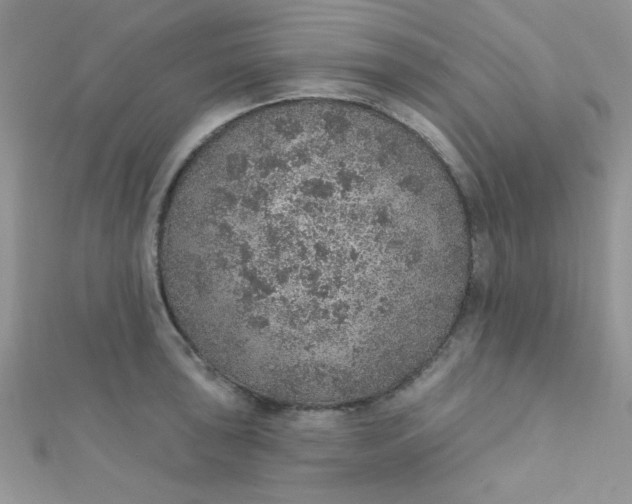 X0000112381043200909031948