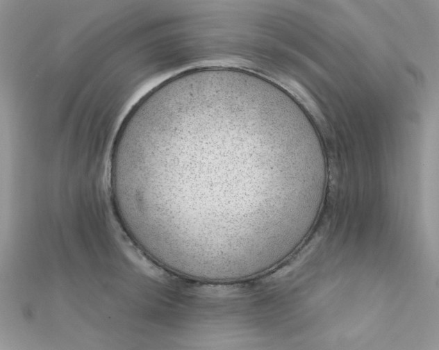 X0000112381044200909031948