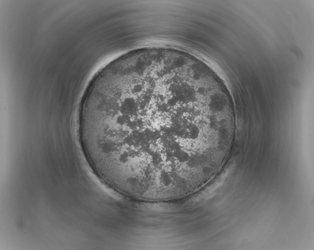 X0000112381045200909031948