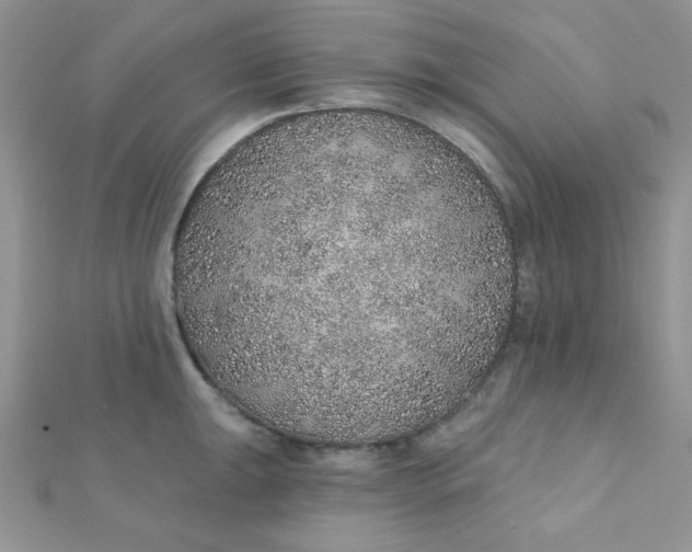 X0000112381047200909031948