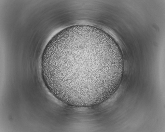 X0000112381048200909031948