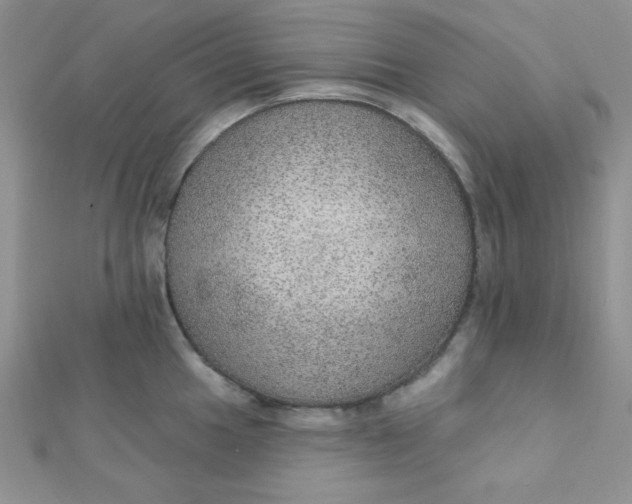 X0000112381049200909031948