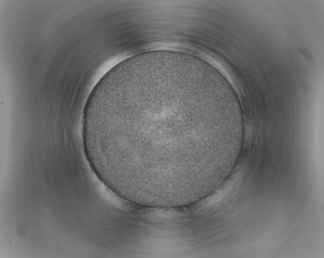 X0000112381050200909031948