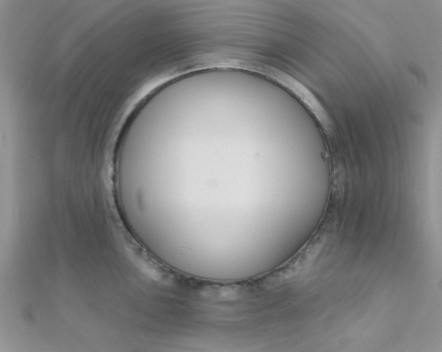 X0000112381051200909031948