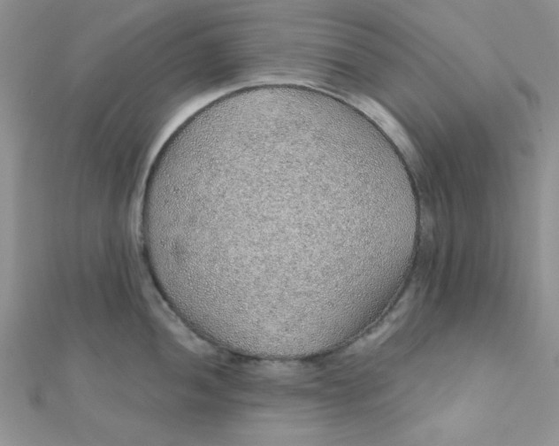 X0000112381052200909031948