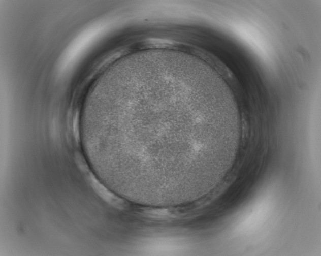 X0000112381054200909031948