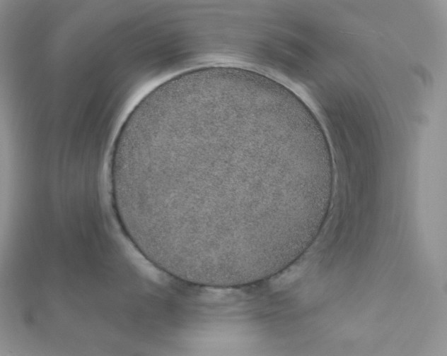 X0000112381056200909031948