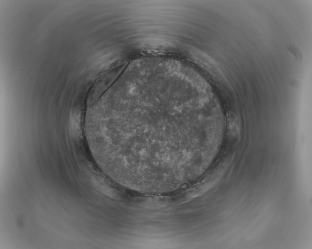 X0000112381060200909031948