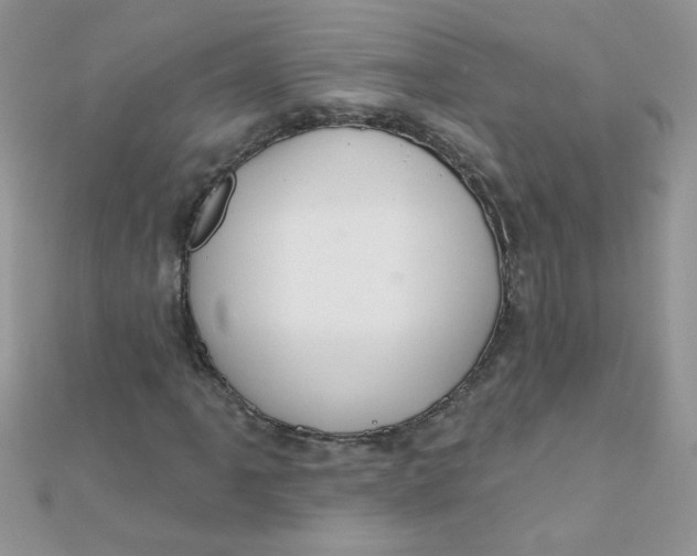 X0000112381061200909031947