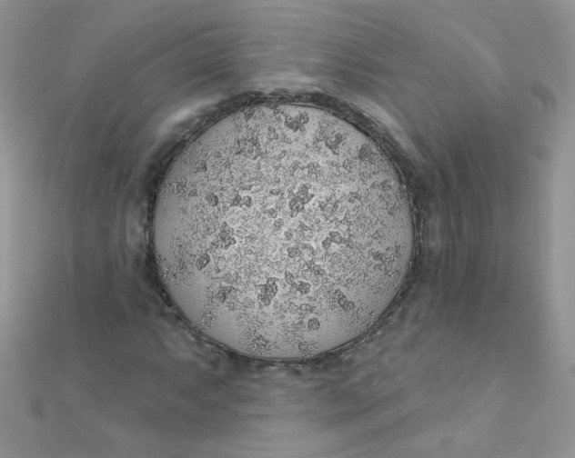 X0000112381063200909031947