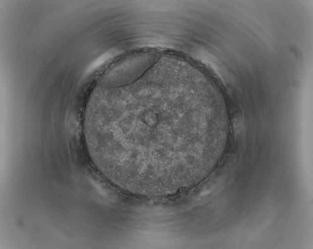 X0000112381064200909031947