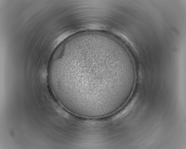 X0000112381065200909031947