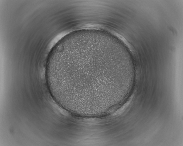 X0000112381066200909031947