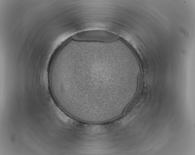 X0000112381072200909031947