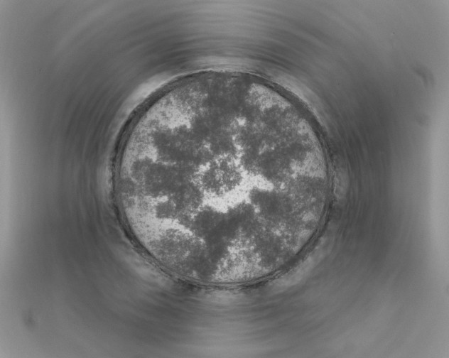 X0000112381074200909031947