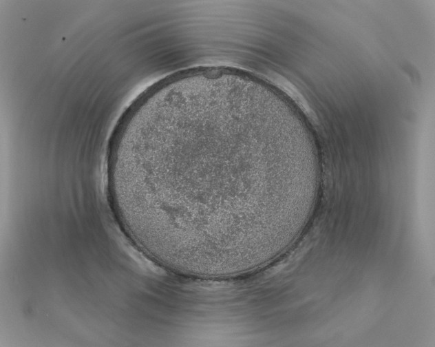 X0000112381076200909031947