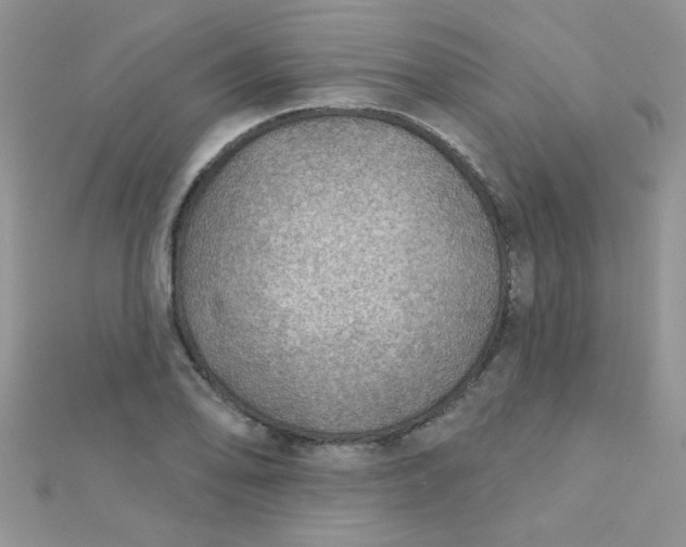 X0000112381078200909031947