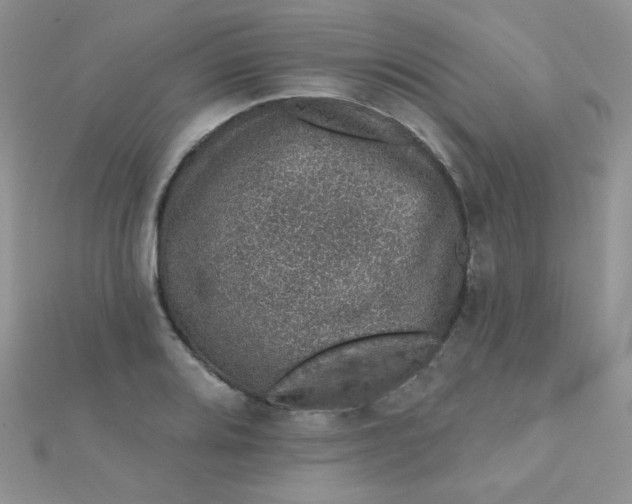 X0000112381080200909031947