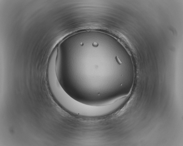 X0000112381081200909031947