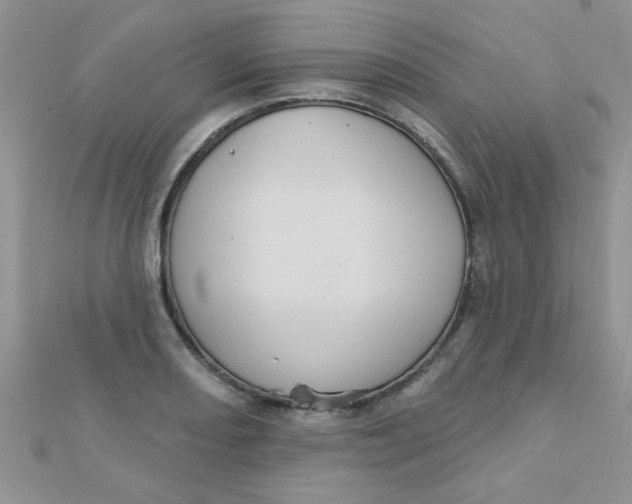 X0000112381082200909031947