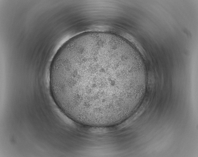 X0000112381083200909031947