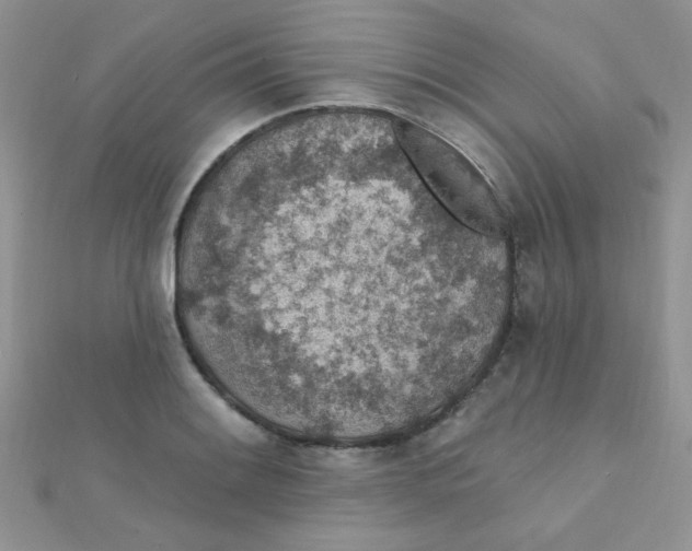 X0000112381084200909031947