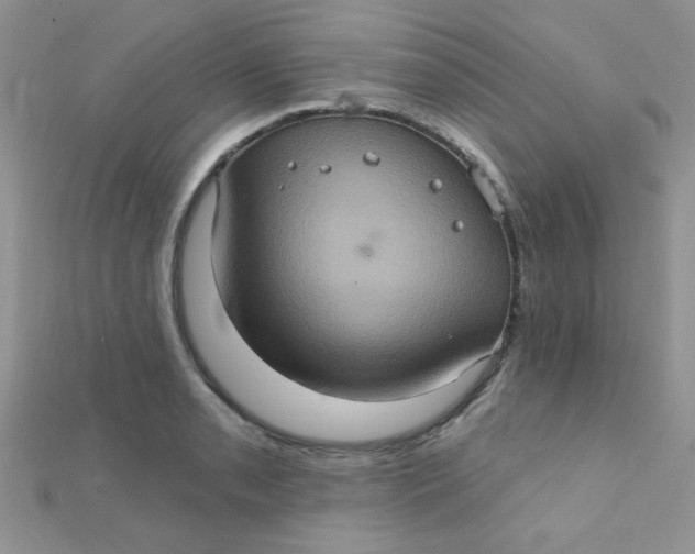 X0000112381085200909031947