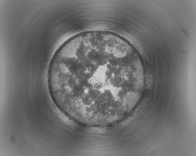 X0000112381086200909031947