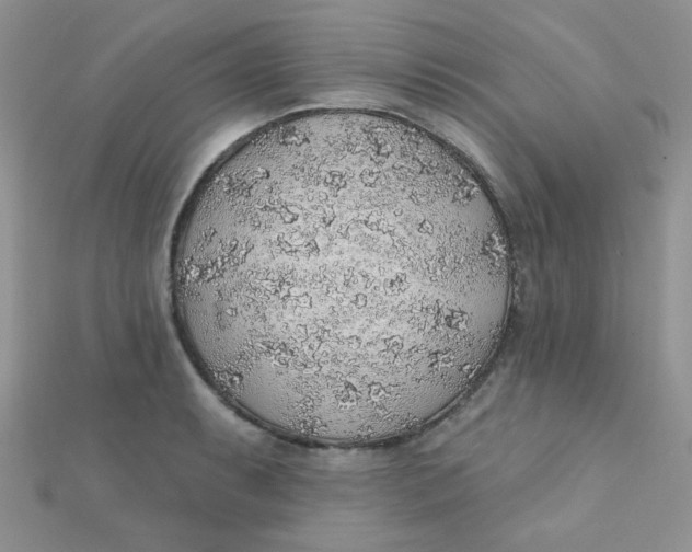 X0000112381087200909031947