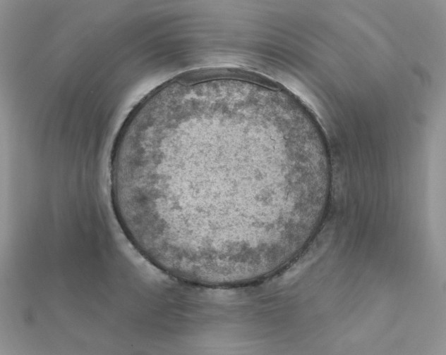 X0000112381088200909031947