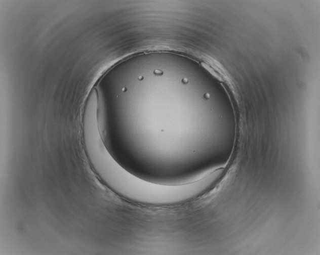 X0000112381089200909031947