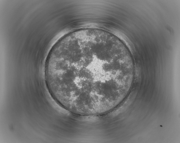 X0000112381090200909031947